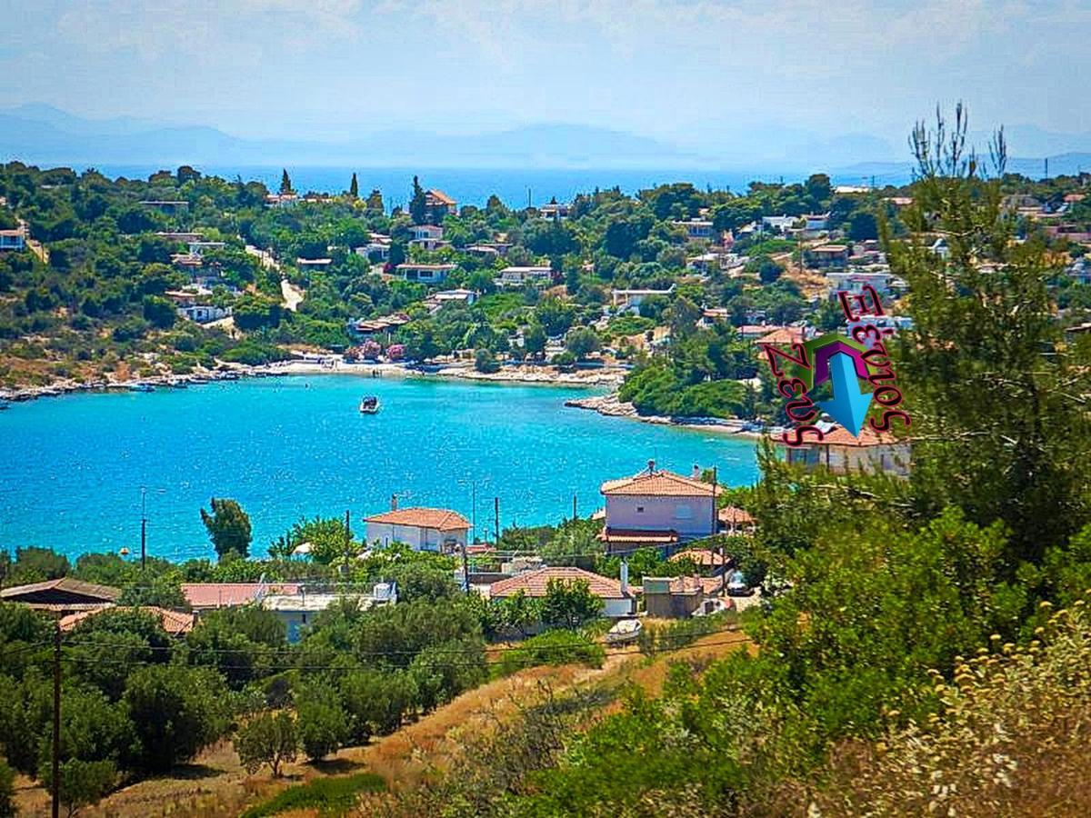 Ξένιος Ζευς Ηλιακτής. Χώρος Χαλάρωσης & Ξεκούρασης Lejlighed Agios Georgios  Eksteriør billede